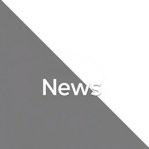 新华社合作品牌Logo